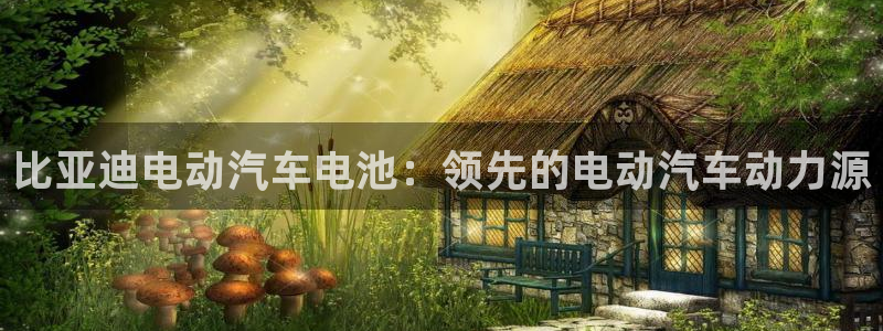 优发国际手机版网站入口