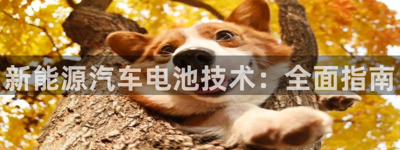 优发国际的官网是什么