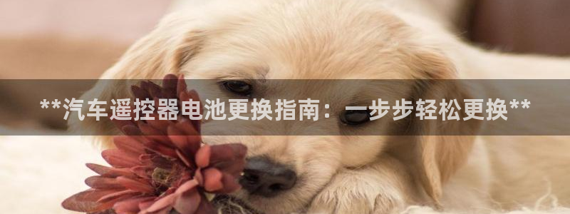 优发国际网官网17k8
