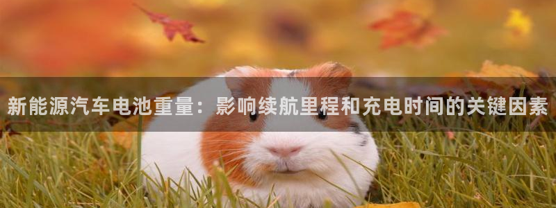 优发国际官方网手机版入口