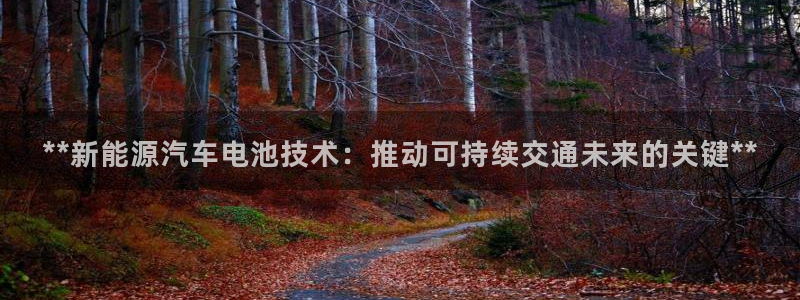 优发国际手机登录下载安装官网