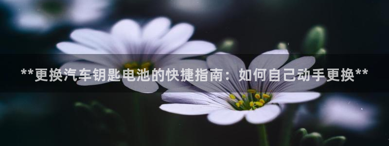 优发国际游戏17