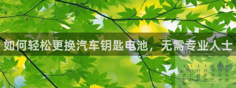 优发国际手机版官网入口