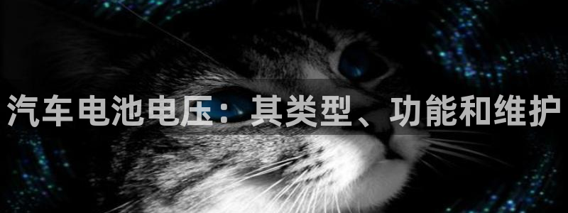 优发国际手机版网站官网