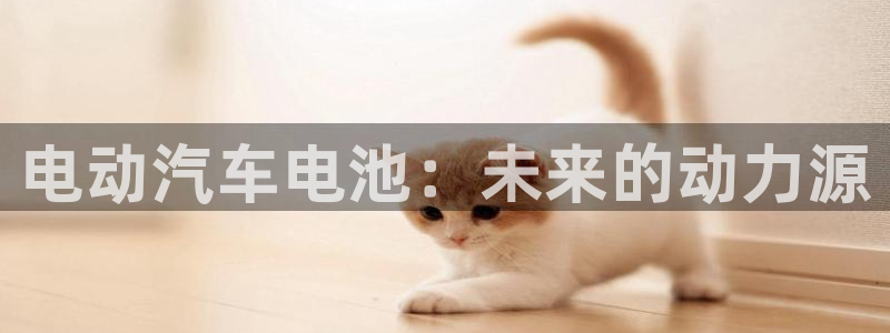 优发国际在哪里下载