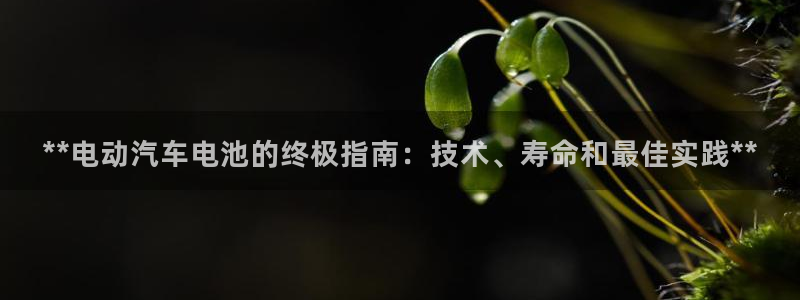 优发国际手机版官网下载