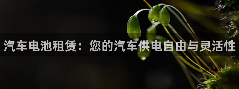 优发游戏官网