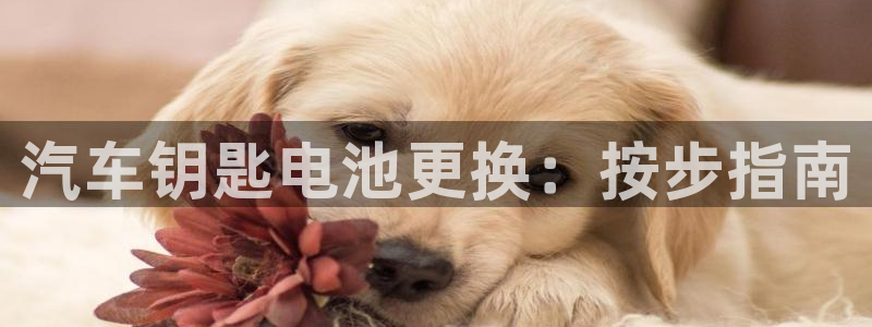 优发国际手机版客户端