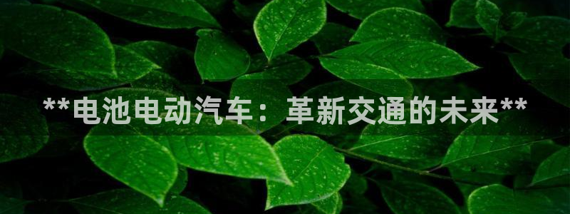 优发娱乐官网app下载