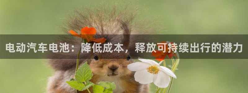 优发国际手机版客户端