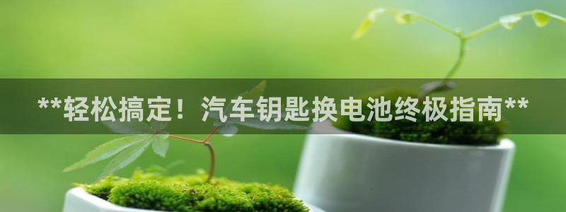 优发国际合并到哪里了啊