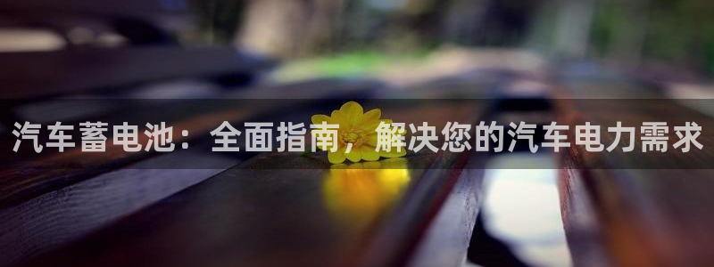 优发国际手机版客户端下载安装
