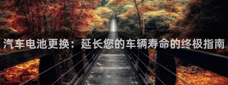 优发国际平台u8是什么公司