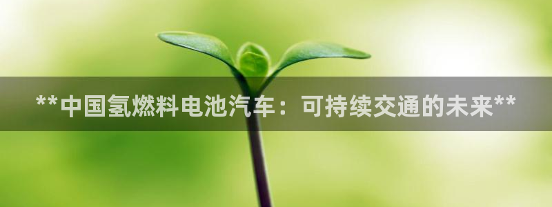 优发国际网官网