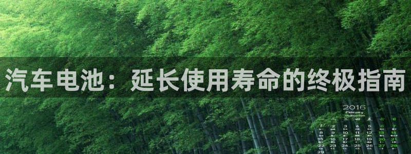 优发国际手机app下载安装最新版