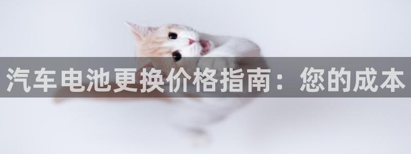 优发国际手机app下载安装官网