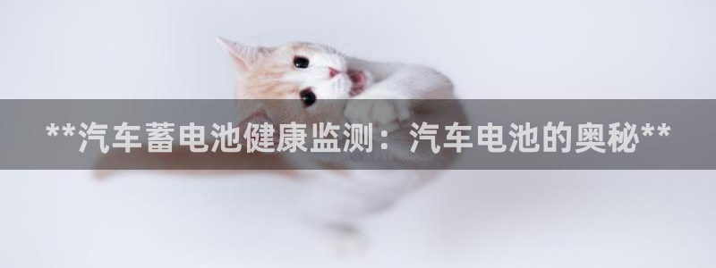 优发国际不出款