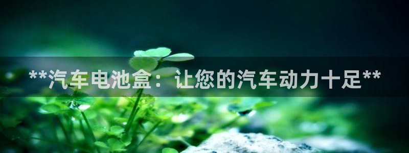 优发国际网官网17w8