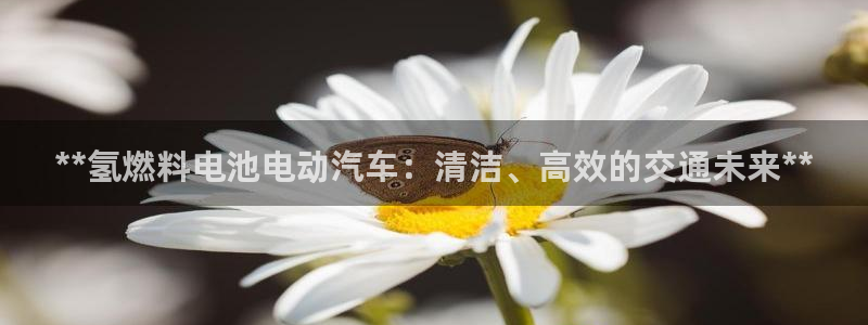 优发国际手机登录下载安装