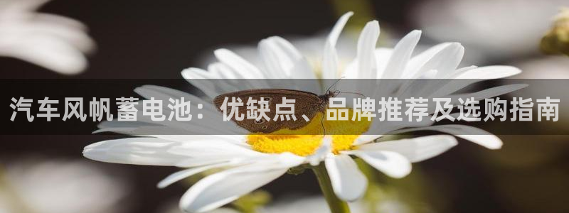 优发国际官网下载app