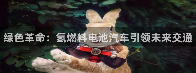 优发国际youfa