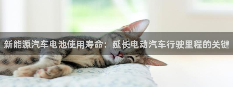 优发国际免费游戏下载
