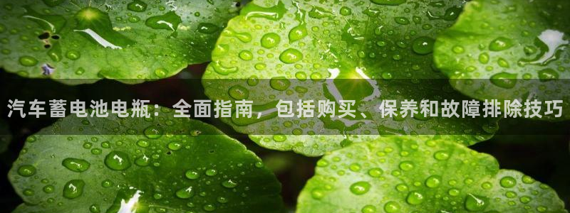 优发国际手机app下载地址