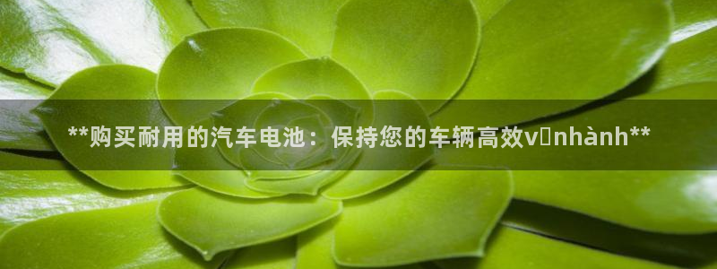 优发国际游戏