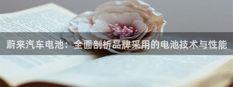 优发国际bob