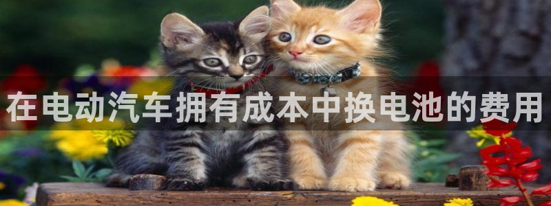 优发国际平台app下载