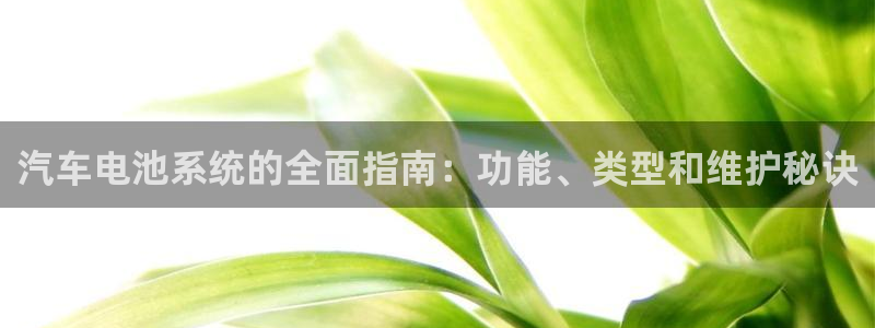 优发国际官方网手机版下载安卓