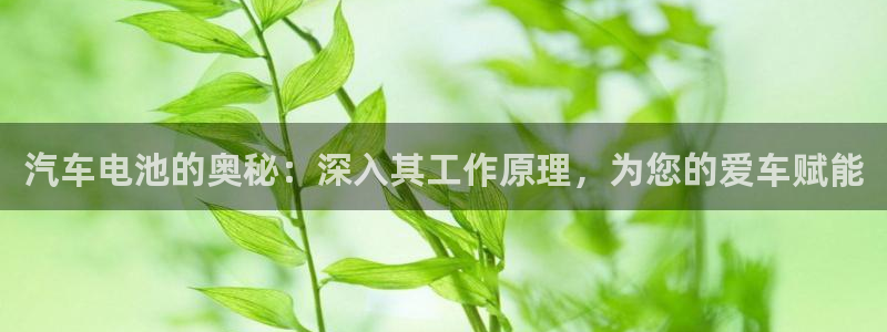 优发国际游戏官网