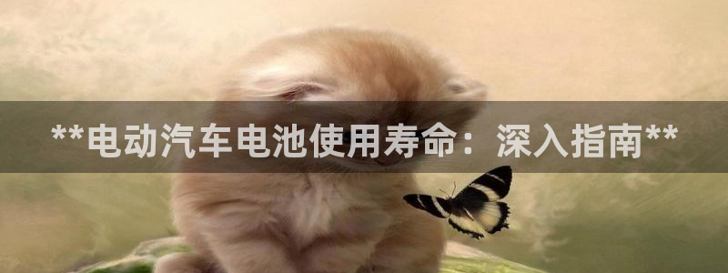 优发国际游戏官网