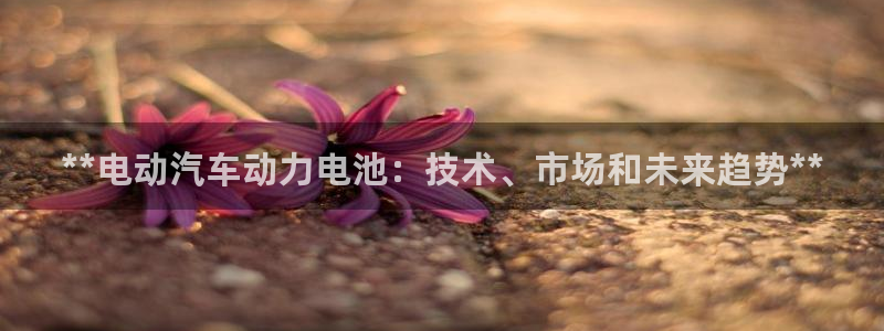 优发国际官网,首页