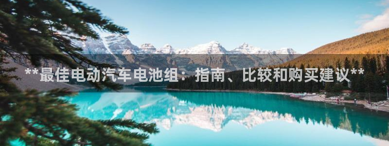 优发国际是什么