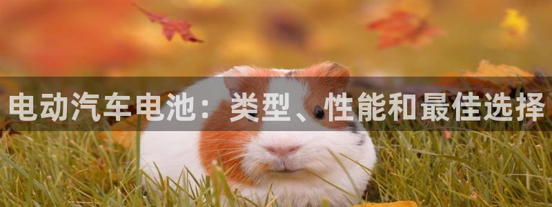 优发国际官网手机版下载苹果