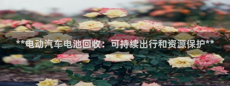 优发国际官网手机版