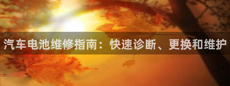优发国际是大平台吗是真的吗