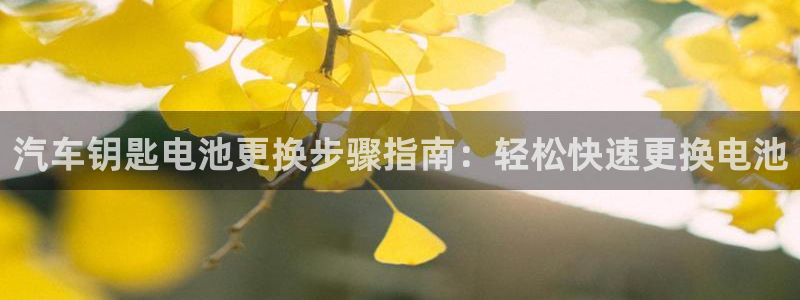 优发国际这个平台怎么样啊