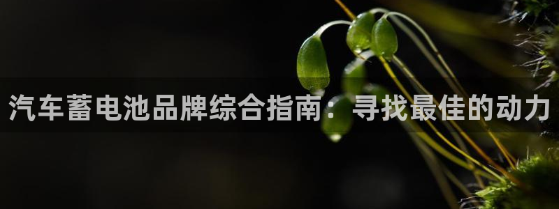 优发国际集团股份有限公司