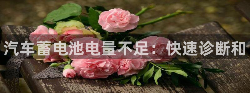 优发国际网站多少