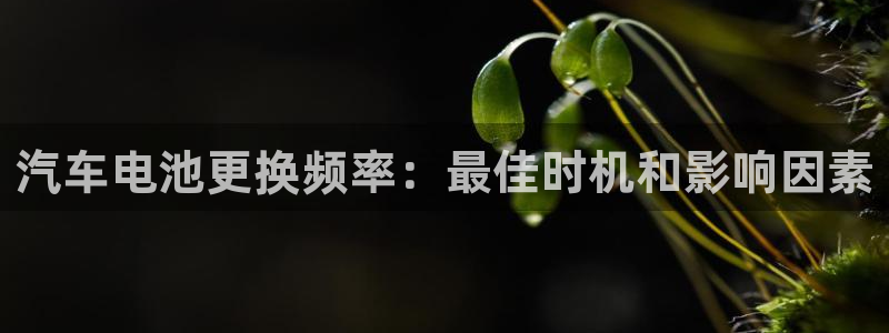 优发国际官网网站首页