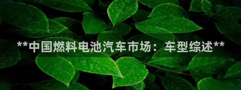 优发国际平台app下载