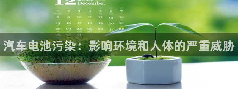 优发国际集团股份有限公司招聘