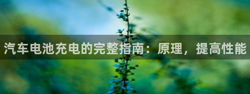 优发国际vip网址
