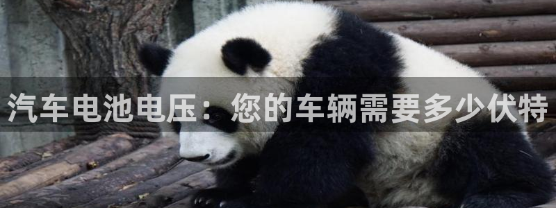 优发国际合并到哪里了最新消息