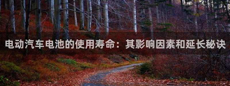 优发国际vip网址