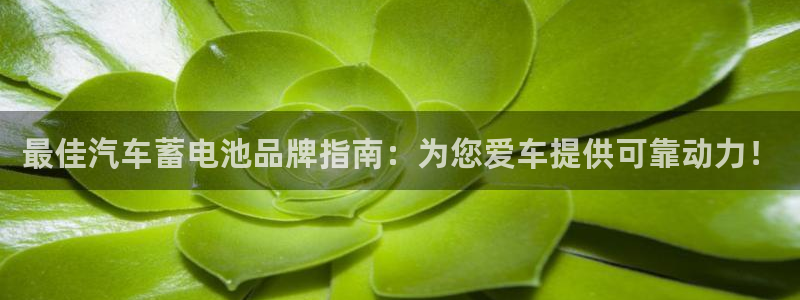 优发国际手机客户端下载