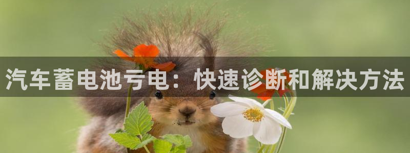 优发国际游戏17