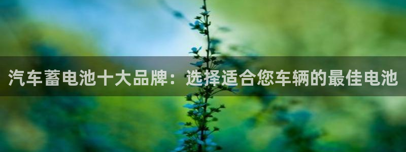 优发国际安卓版下载安装最新版